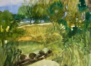 Turtle Pond, watercolour, 10x12, 2022